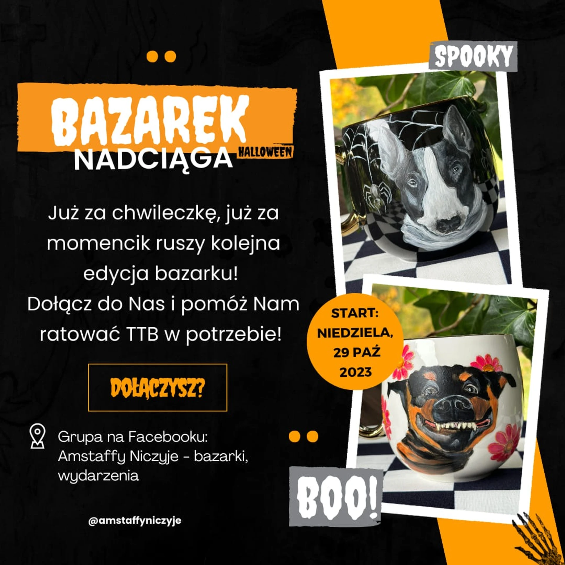 Amstaffy bawią się wspólnie