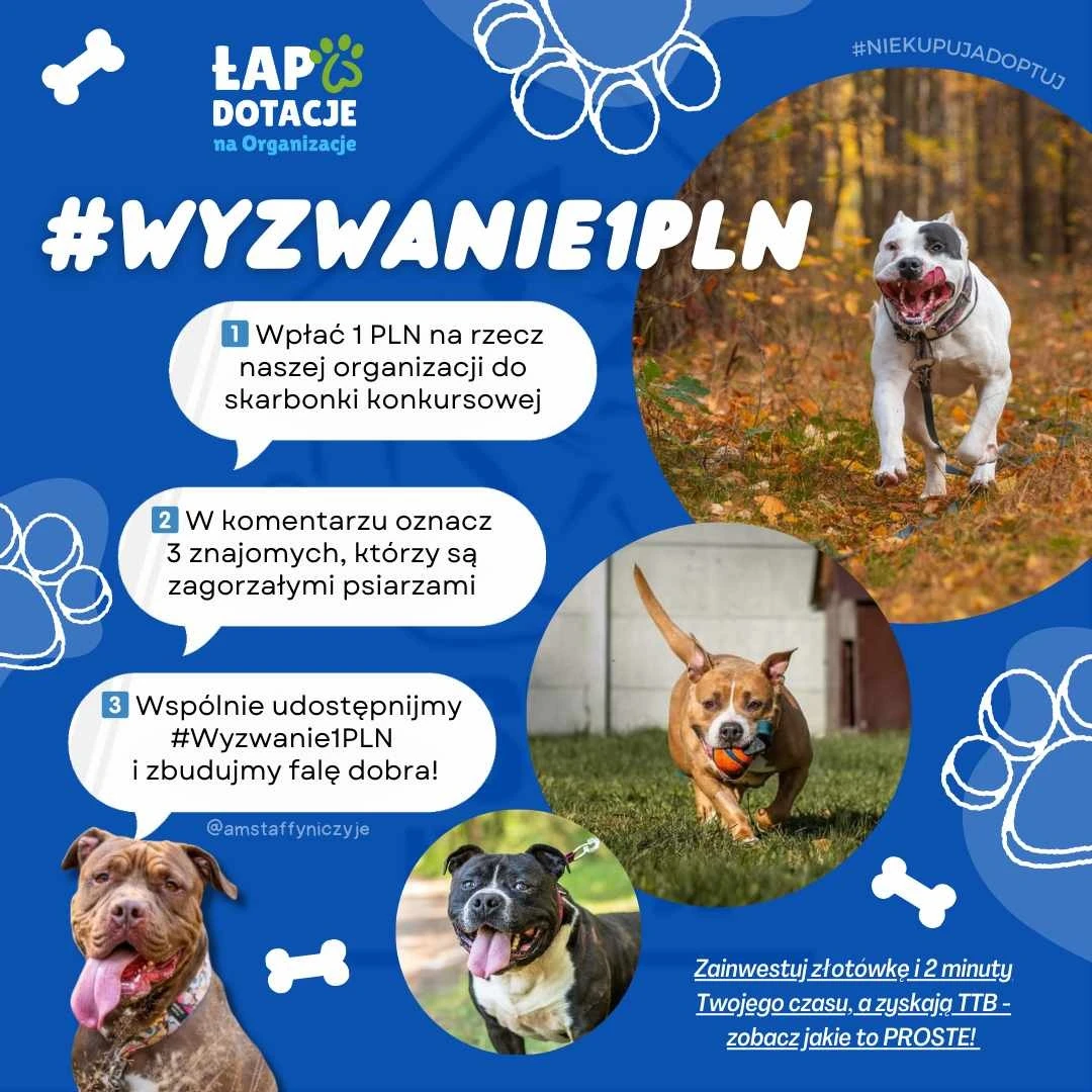 #Wyzwanie1PLN