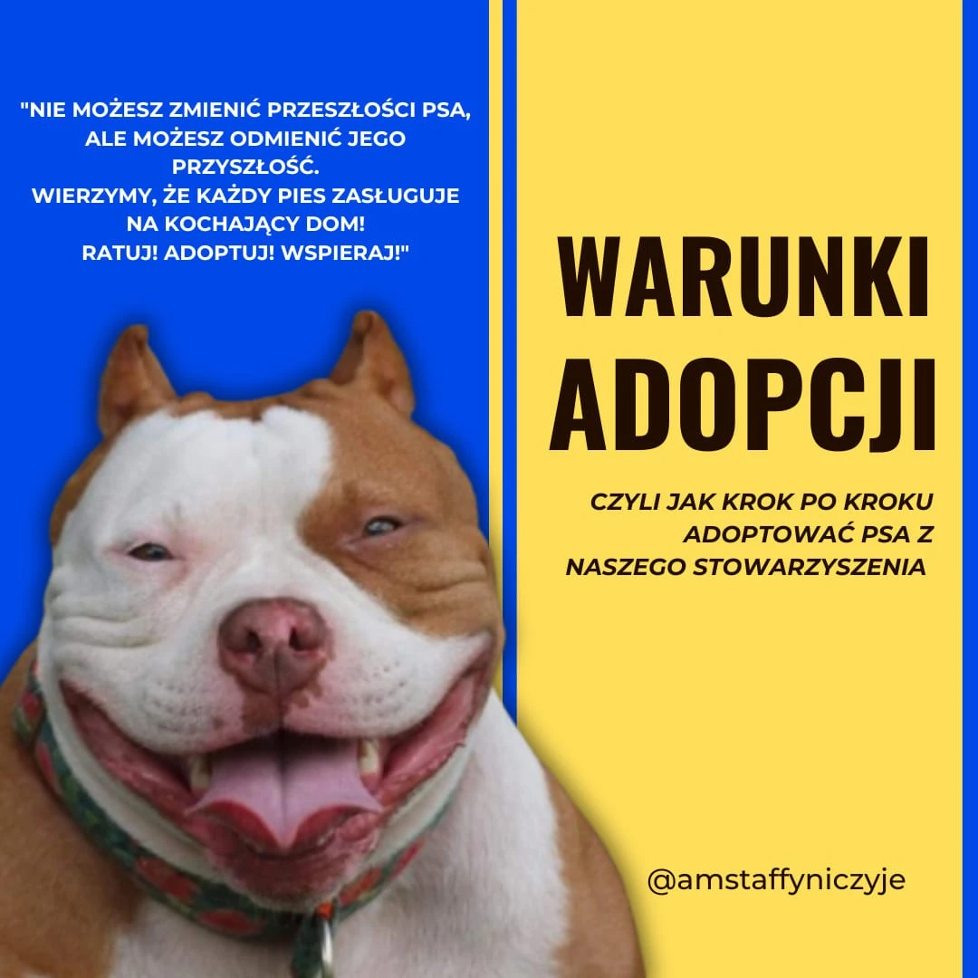 Warunki adopcji