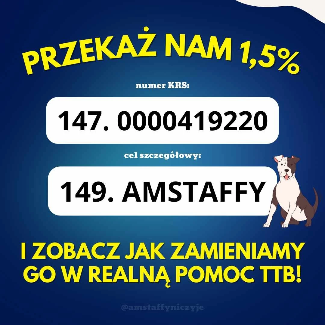 przekaż 1,5 % na amstaffy i ratujmy je wspólnie!