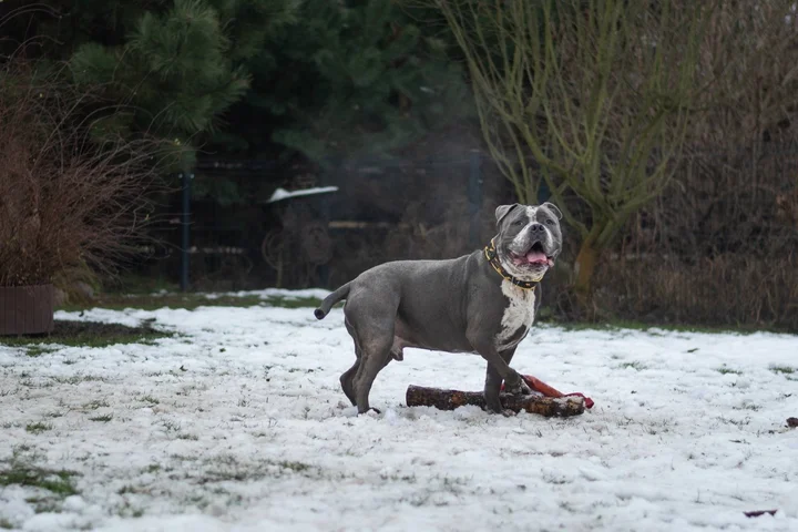 607944026_1282276993926778_8210220410069497502_n