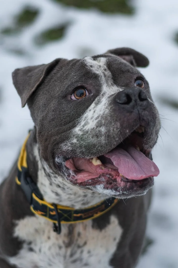 608112346_1282276820593462_2753045526958479485_n