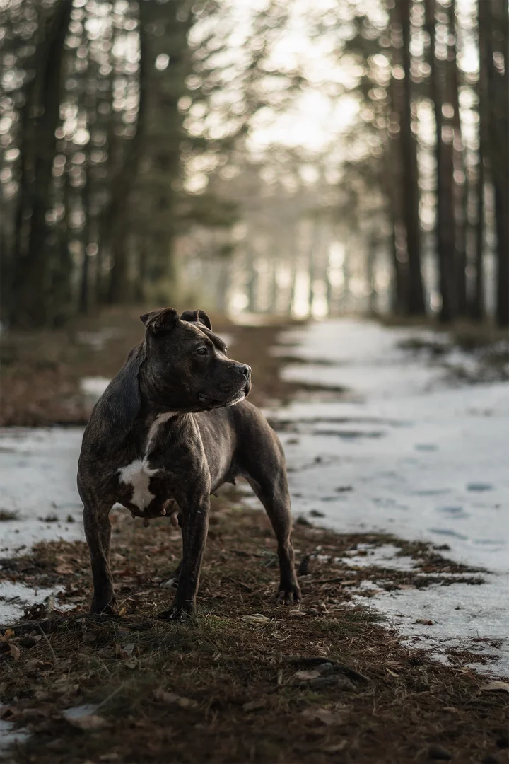 616444851_1296652859155858_8061856939980684618_n