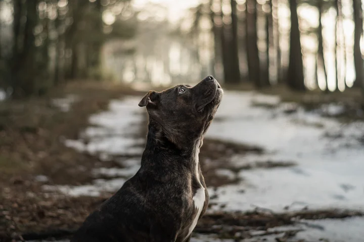 616573660_1296652842489193_4660454377082798026_n