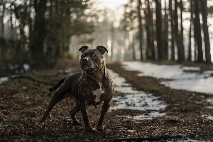 616811462_1296652965822514_8511670351482062319_n