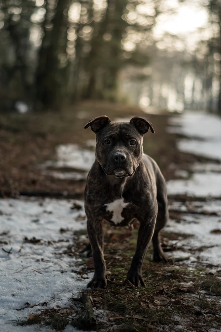 617610929_1296652839155860_4182497807597673753_n