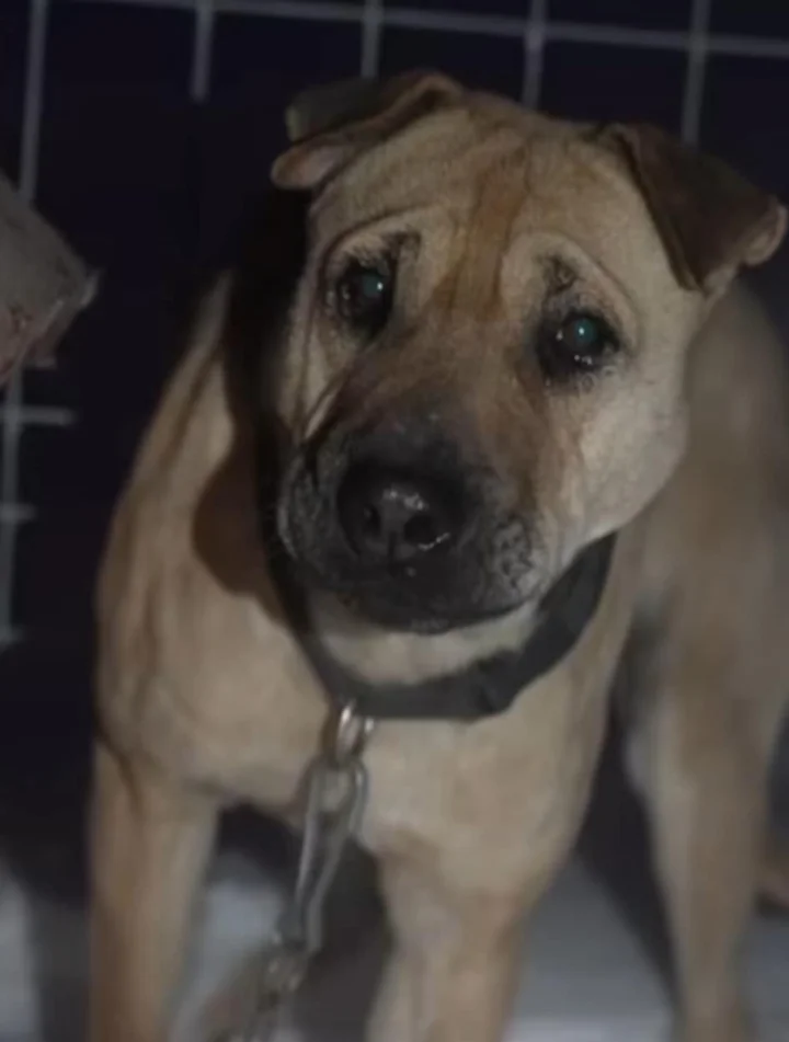 626066071_1309382844549526_5253795059756952099_n