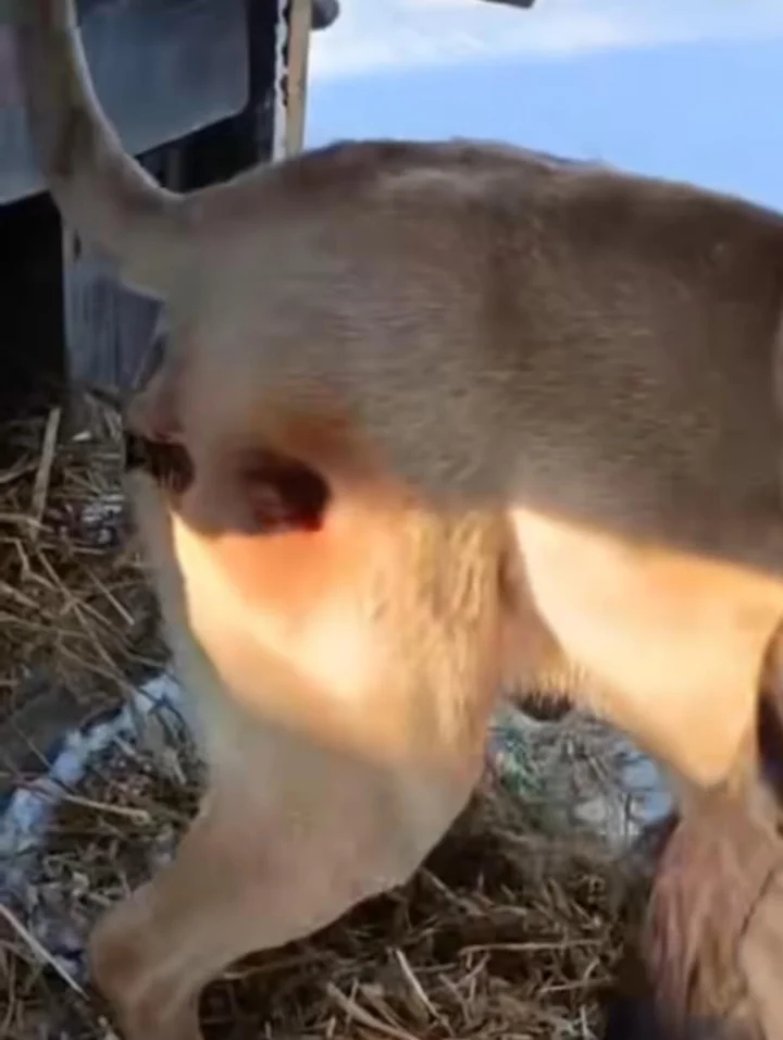 627690778_1309382917882852_2656011221062793398_n